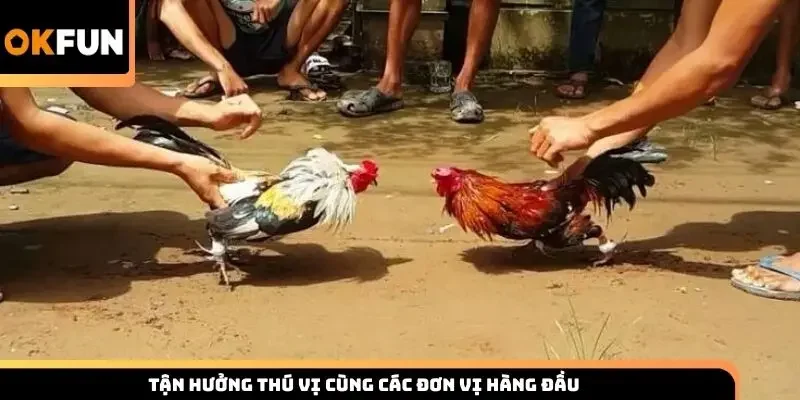 Tận hưởng thú vị cùng các đơn vị hàng đầu